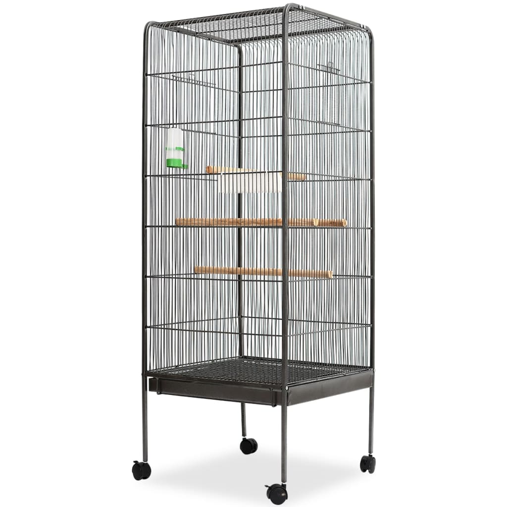 Friday Favourites: Spacious Bird Cage – Safety and Comfort for Your Pets