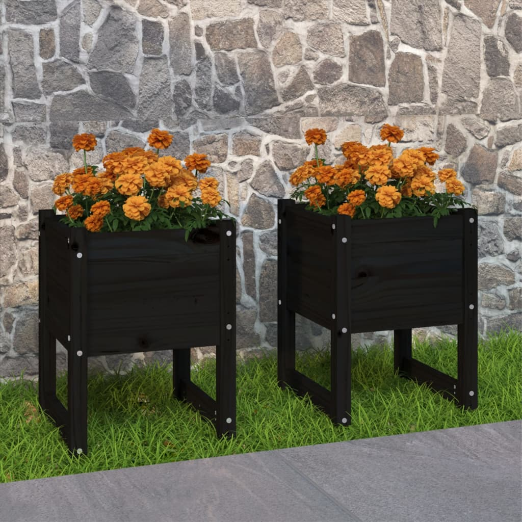 Planters 2 pcs Black 40x40x52.5 cm Solid Wood Pine